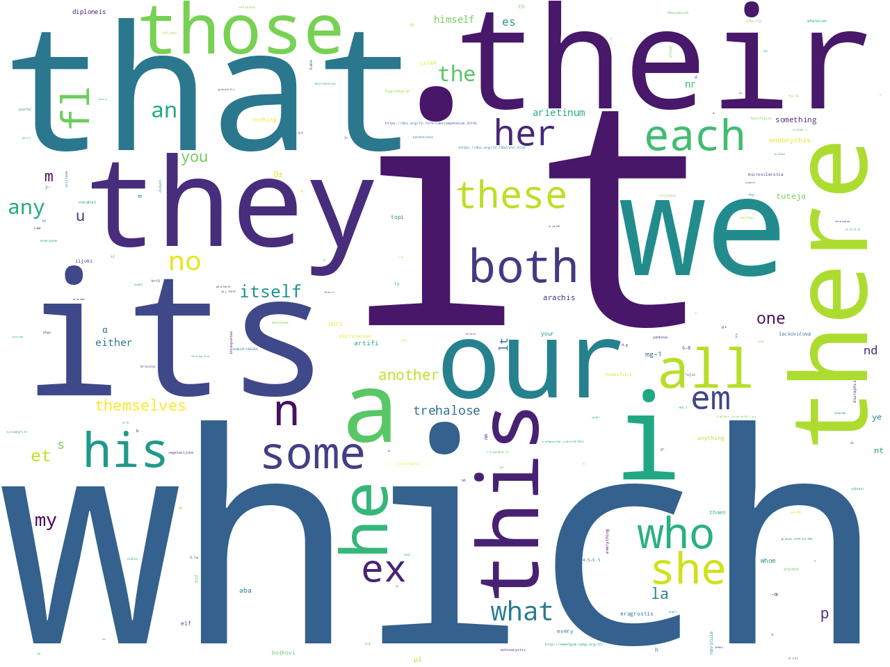 pos-pronoun