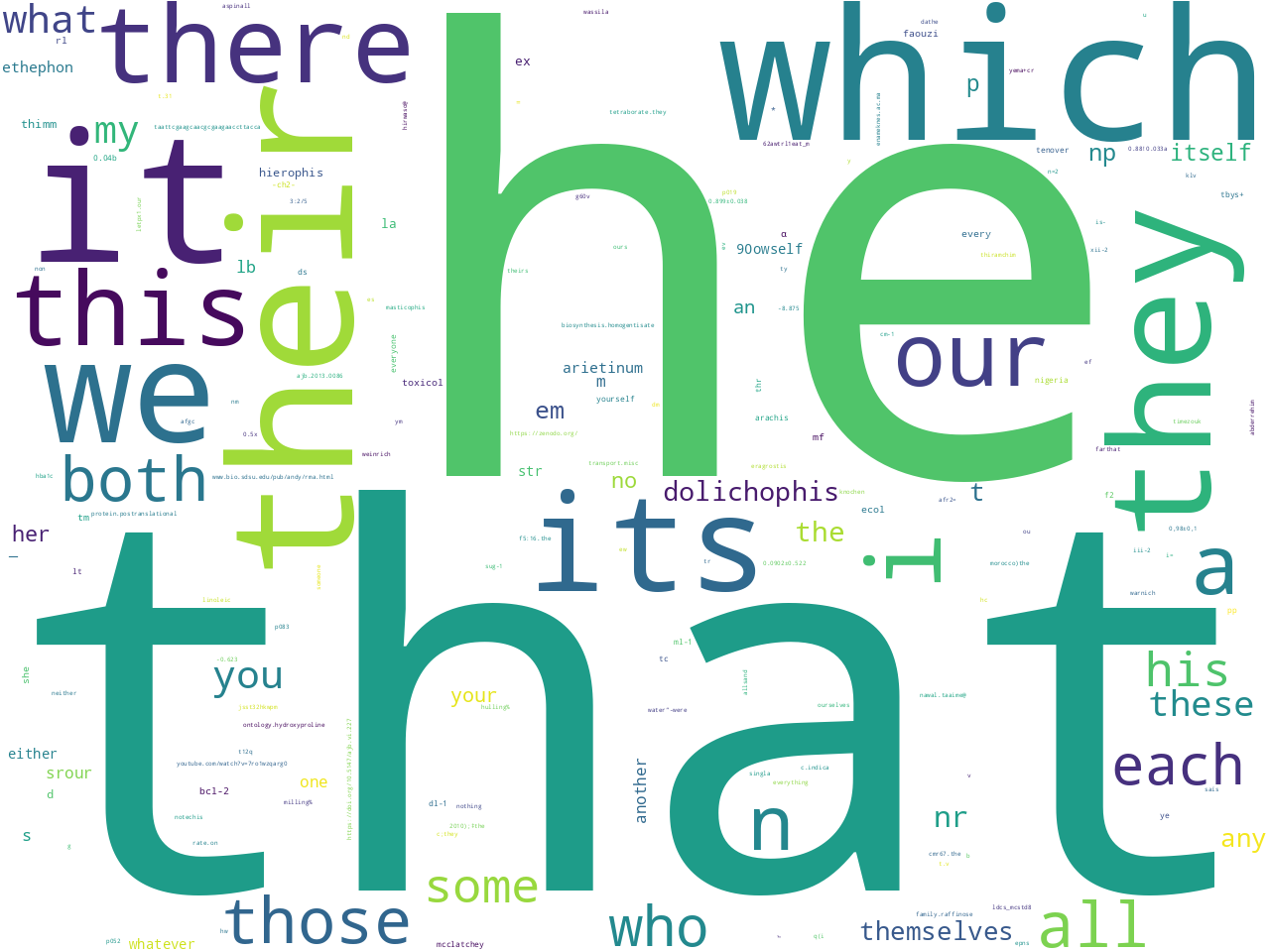 pos-pronoun