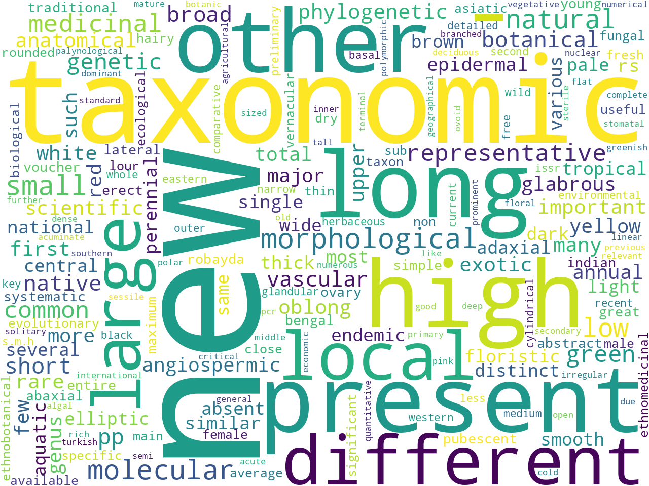 pos-adjective