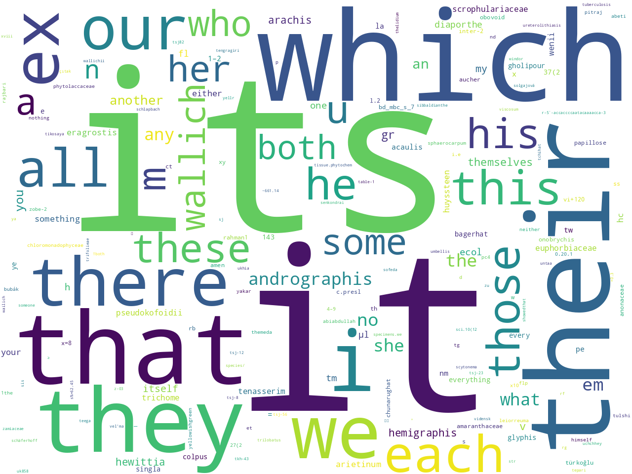 pos-pronoun