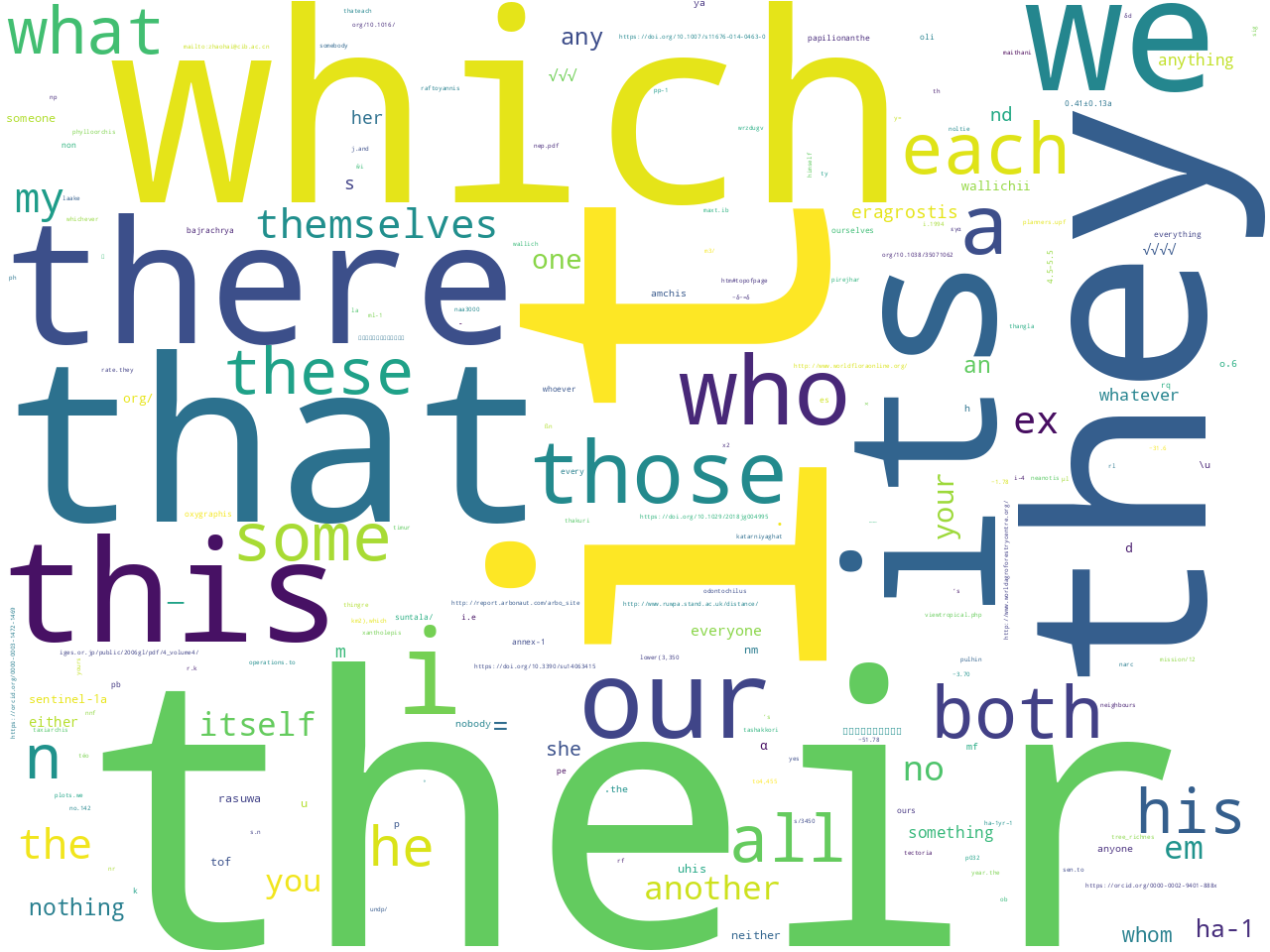 pos-pronoun