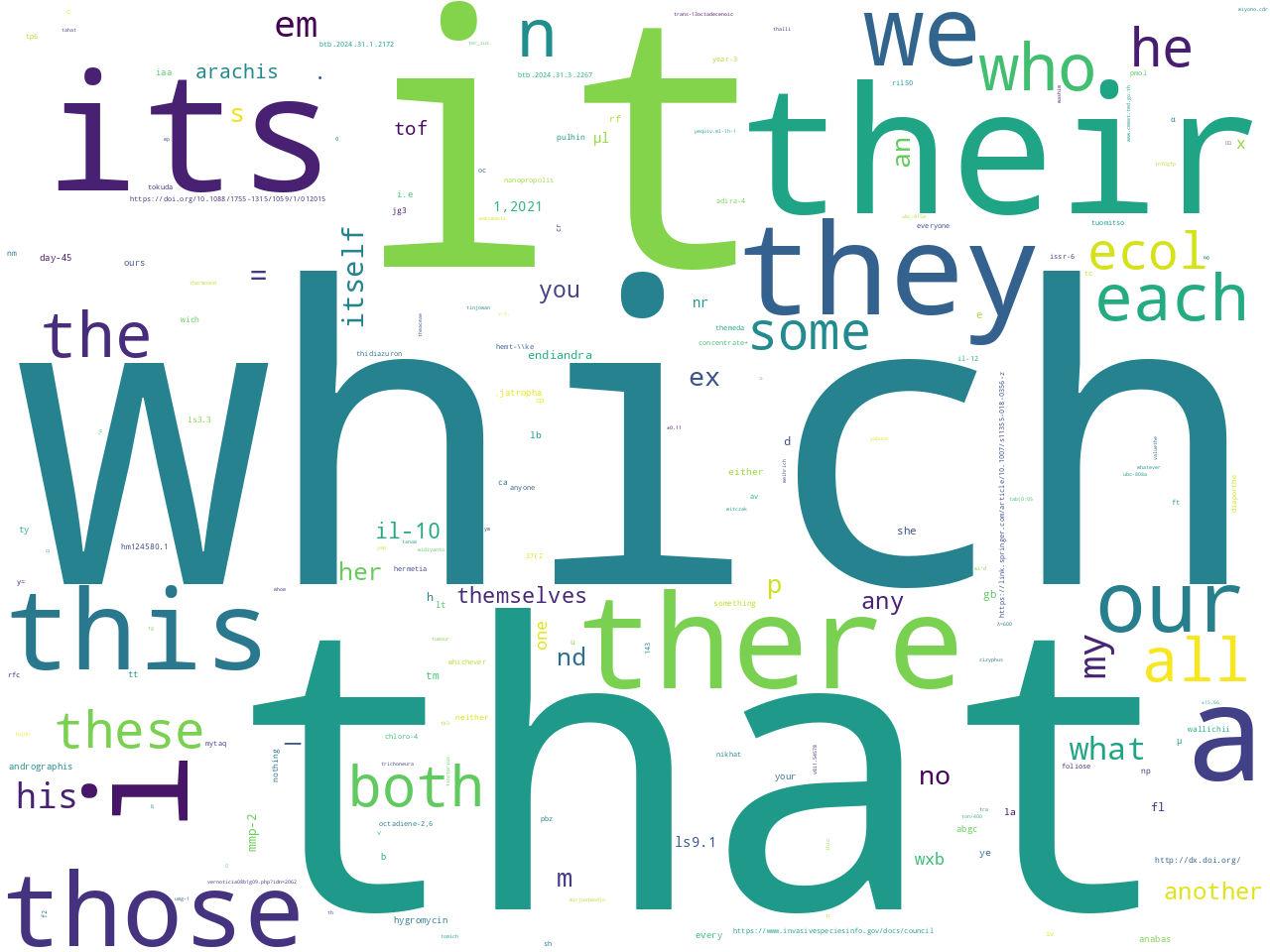 pos-pronoun