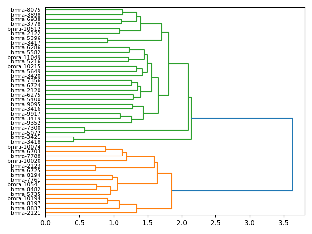 cluster-dendrogram