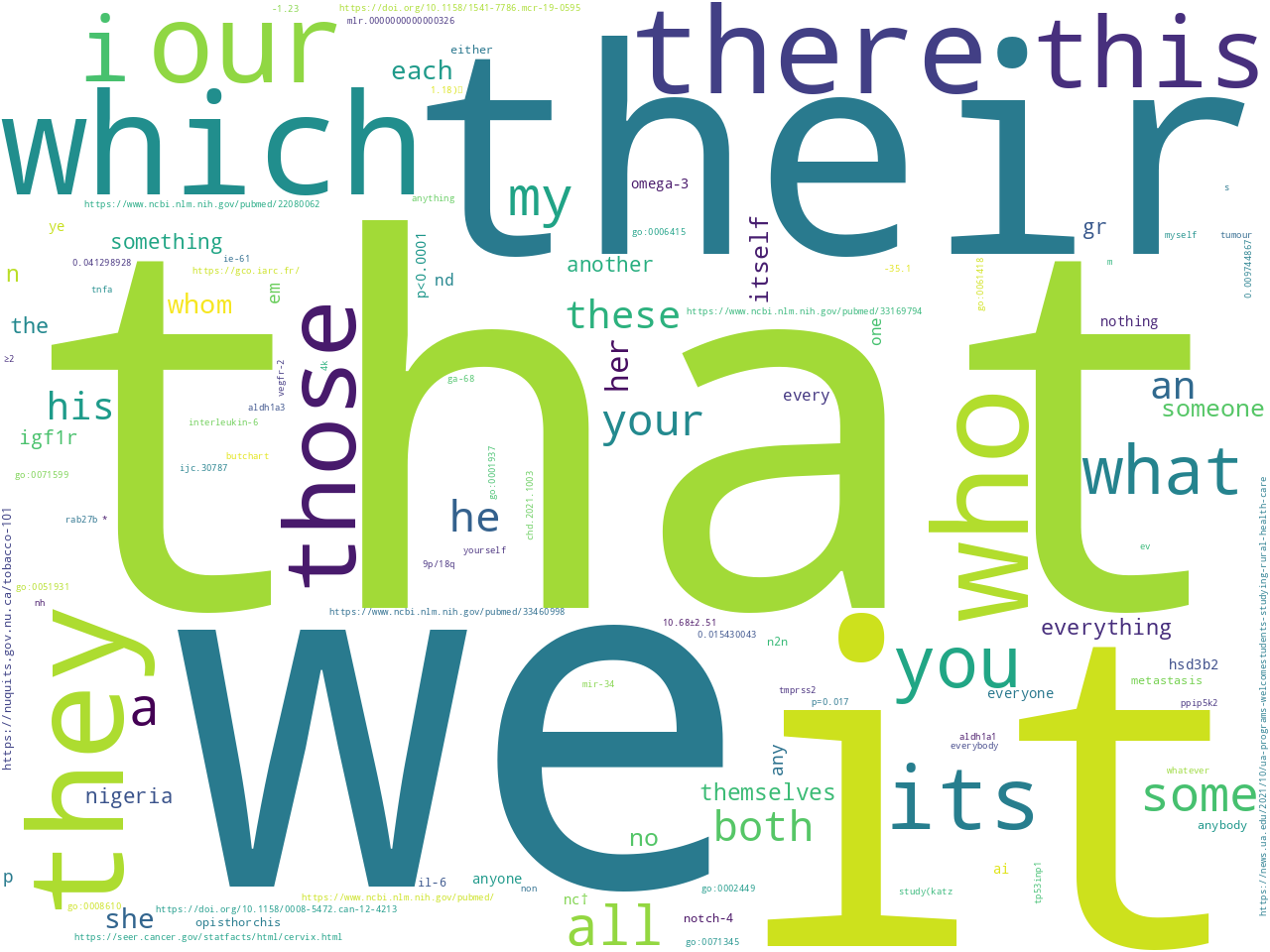 pos-pronoun