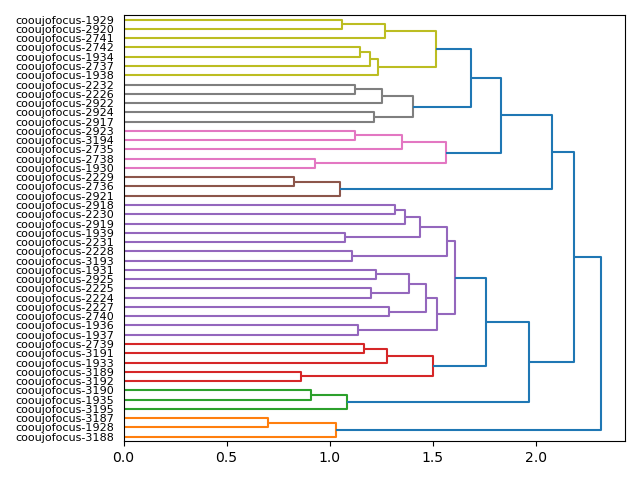 cluster-dendrogram