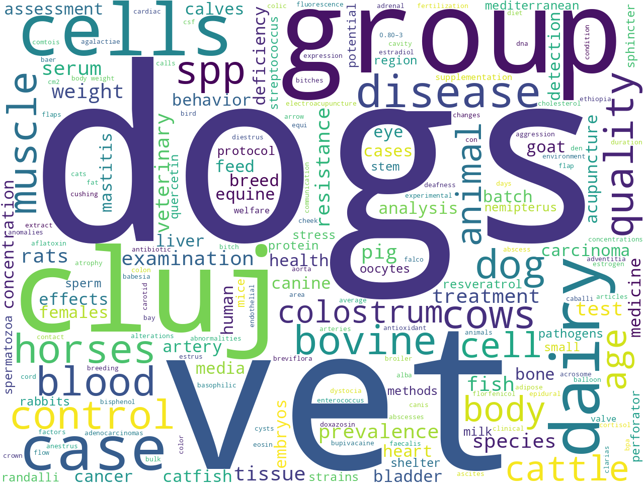 keywords-cloud