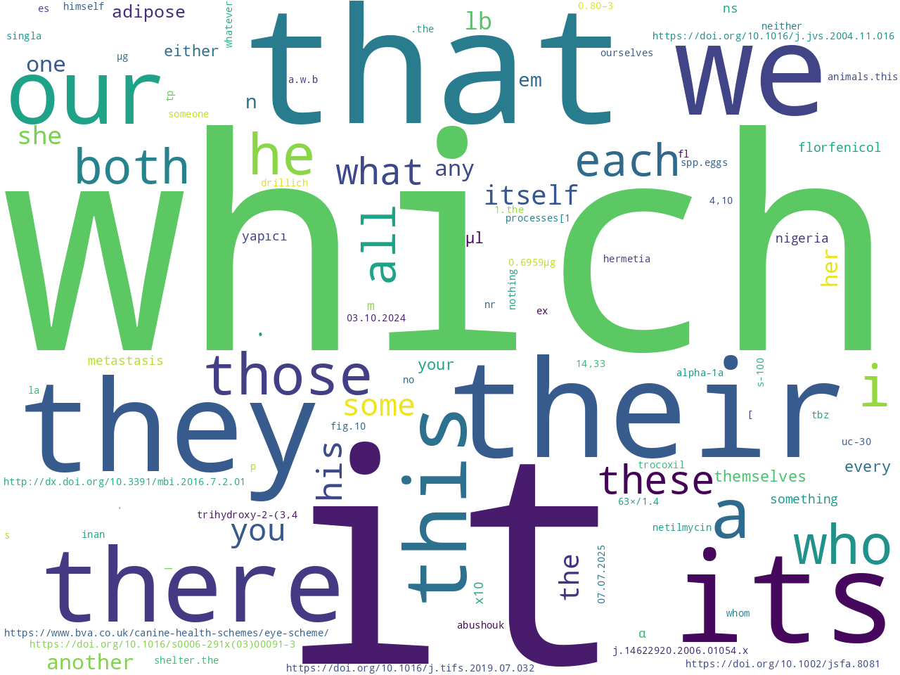 pos-pronoun