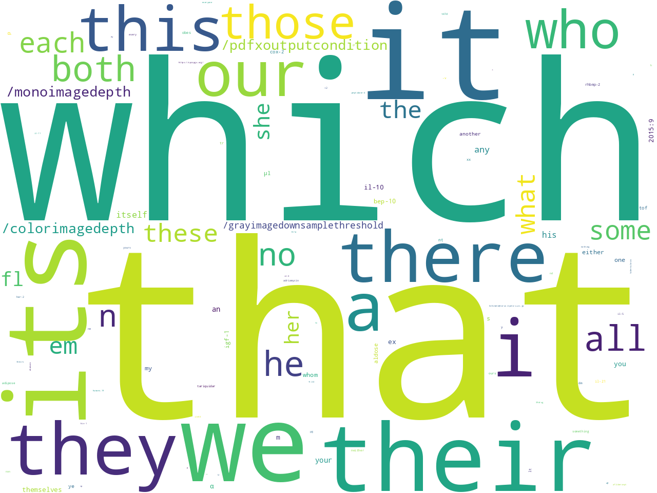pos-pronoun