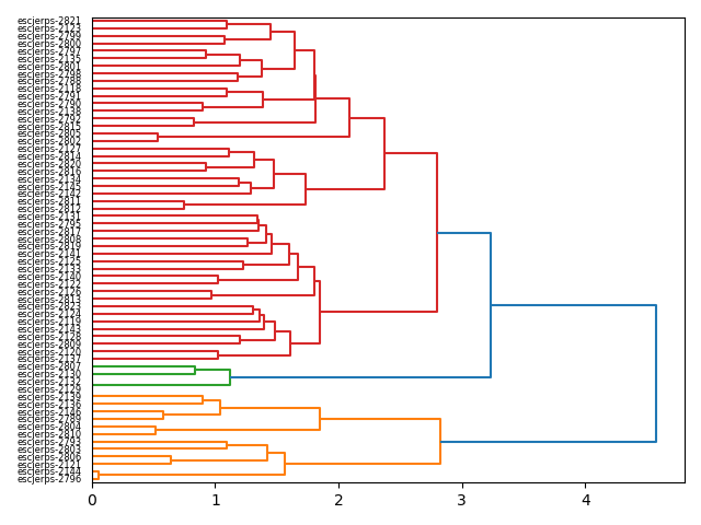 cluster-dendrogram