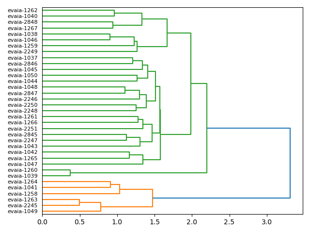 cluster-dendrogram