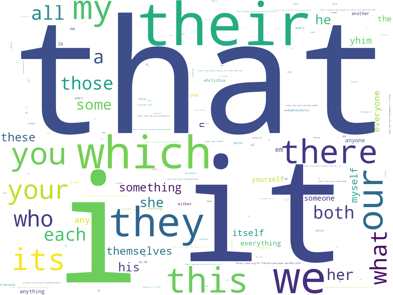 pos-pronoun