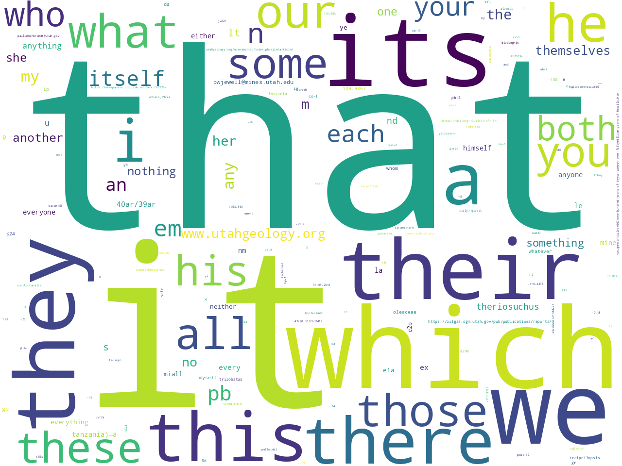 pos-pronoun