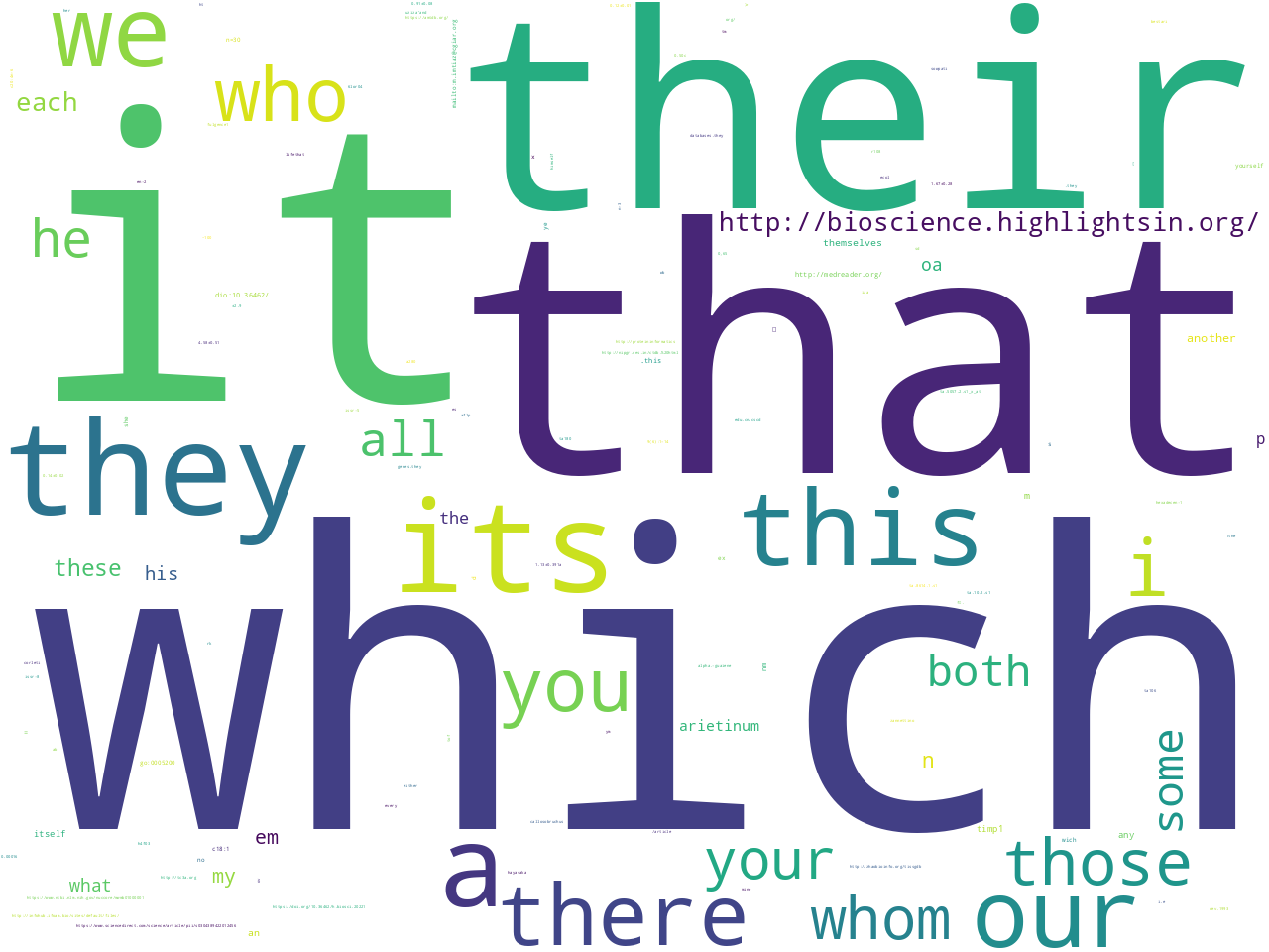 pos-pronoun