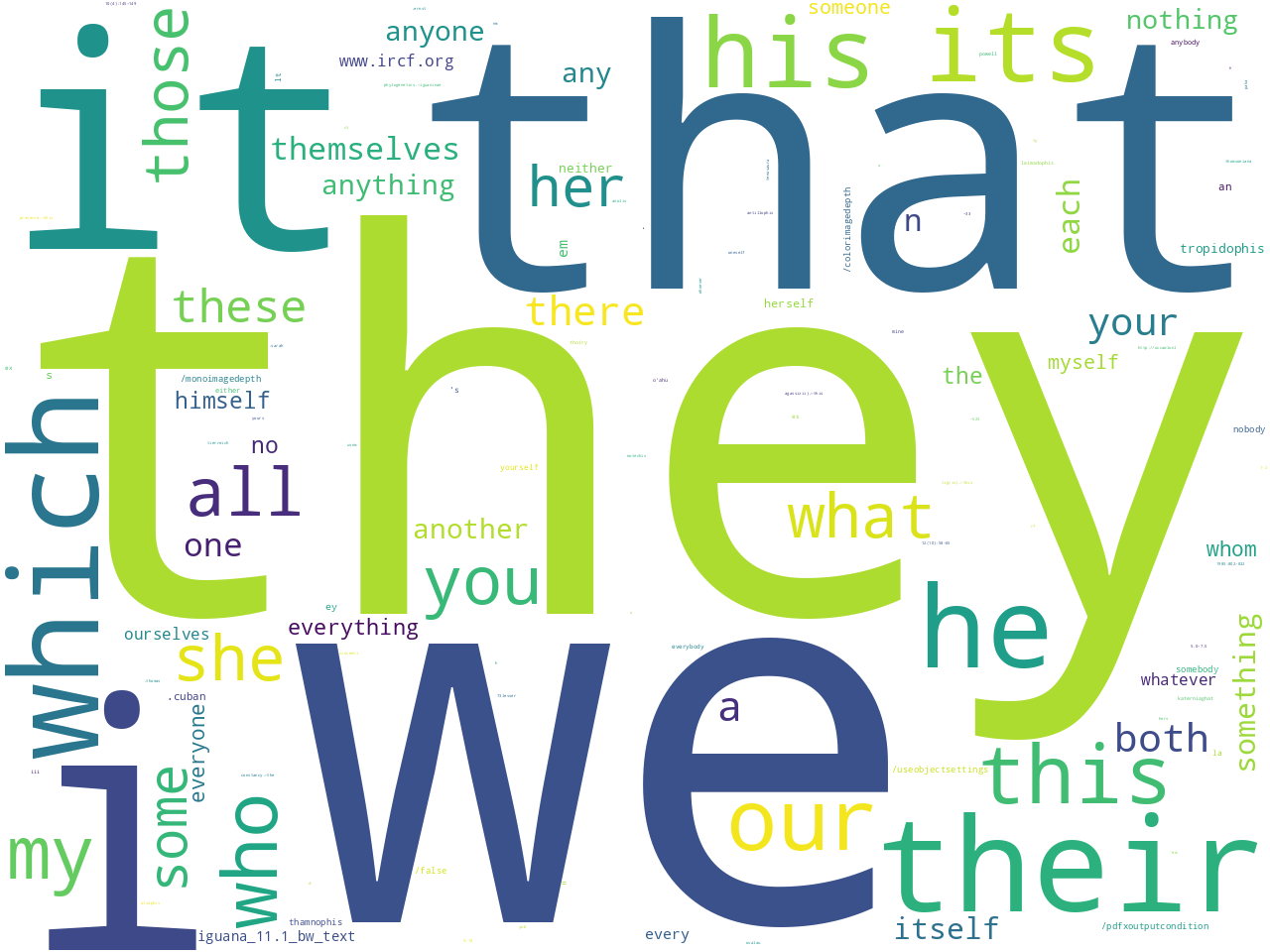 pos-pronoun
