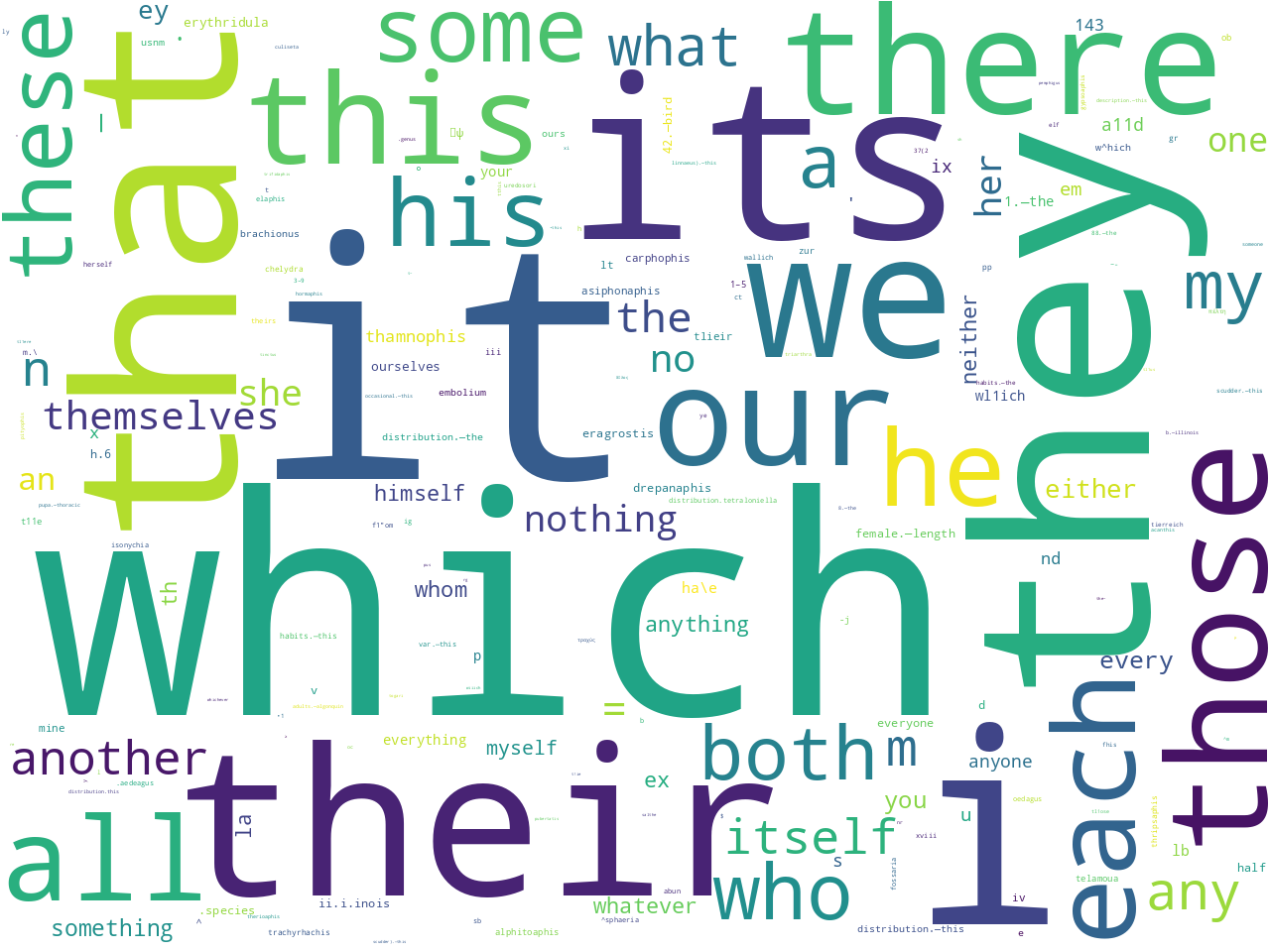pos-pronoun